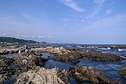 磯（磯浜）の一例（千葉県鴨川市の海岸）