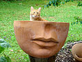 Red Cat in Tuscan Pottery