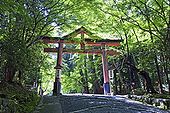 Sannō torii.