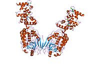 2p6b​: Kristalna struktura ljudskog kalcineurina u kompleksu sa -{PVIVIT}- peptidom