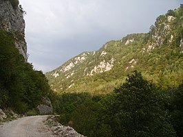 Pračavallei