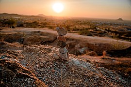 Stone balance as yoga.jpg