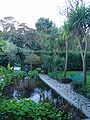 Italian gardens (Lost Gardens of Heligan, UK)