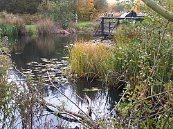 A WWT London Wetland Centre egyik tava, megfigyelőhellyel