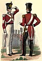 画像11；イギリス第86歩兵連隊(1840)。