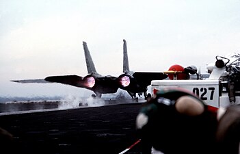 Twin tail layout of the Grumman F-14 Tomcat