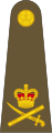 Lieutenant General (ბრიტანეთის არმია)