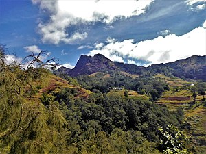 In den Bergen von Maubisse