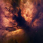 NGC 2024