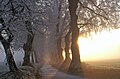 Kurfürstenallee in Marktoberdorf (Foto)