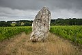 Menhir of "Pierre blanche"