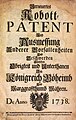 Das Robotpatent 1738 enthält grundlegende Aussagen über die Abwicklung von Robotleistungen (Rechtsbehelfe, Maßnahmen gegen Zusammenrottungen, Ausmaß von Handrobot, Zugrobot, Fußrobot etc.)