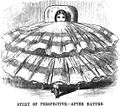 Sitting down in Crinoline