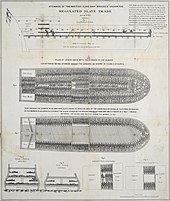 Plan du navire esclavagiste le Brookes qui montre l'extrême surpopulation dont étaient victimes les esclaves du commerce transatlantique