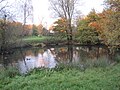 Laurel Farm Pond