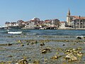 Istria (Umag Belt)