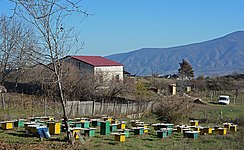 Beekeeping