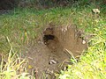 Beaver hole