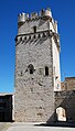 Remparts de Saint-Laurent-des-Arbres