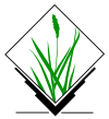 Офіційний логотип GRASS GIS