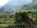 Vista de los alrededores de Ravello.