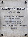 Rusznyák István Füvészkert utca 2.