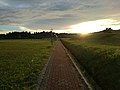 Walkway on UPMKB's sports field