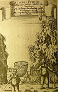 Bernstein­fischer u. Bernstein­gräber. Samlän­dische Küste, 1677