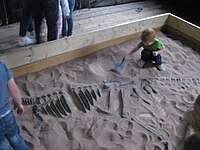 Caixa de areia com restos de dinossauro