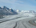 Champ de glace.