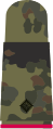 black emblem on 5-colour-flecktarn – Heer (Lieutenant Armour corps)