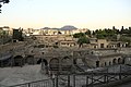 Herculaneum (Campania)