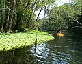 Ichetucknee River at Ichetucknee Springs State Park, Florida.