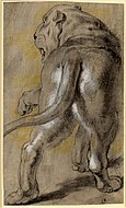彼得·保罗·鲁本斯 - 母狮素描, 1614-1615年。