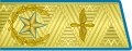 Pagon stopnia главный маршал авиации Советского Союза.