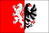 Flag of Starý Plzenec