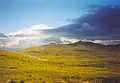 Upland, Falklandinseln.