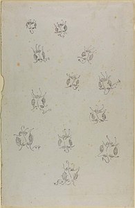 Mariposas para ilustrar El sutil arte de hacer enemigos (c. 1890)