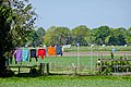 Drents landschap nabij Nieuw Balinge