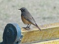 Male; Dwarka, New Delhi, India