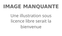 Image illustrative de l’article Liste des préfets de la Guyane