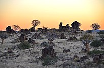 Espécimes entre rochas doleritas preto de Keetmanshoop.