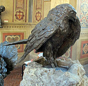 Falcon (Florence)