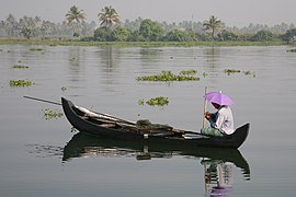 Kerala backwater 20080218-11.jpg