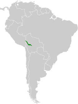 Distribución geográfica del hemispingo de los bambúes.