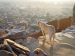 Yaisalmer (Jaisalmer).