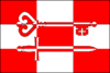 Flag of Předotice