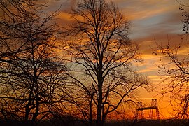 Commended: Seen from Belle Vue Park, an aeroplane leaves a trail over the Transporter Bridge in a winter sunrise. Author: WelshDave