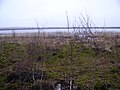 View of the Siniaje lake near Rudensk