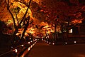 秋の紅葉（京都府京都市 嵐山・宝厳院）